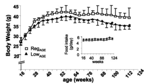 age bw food intake