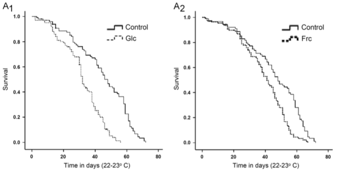 fly lifespan glycation