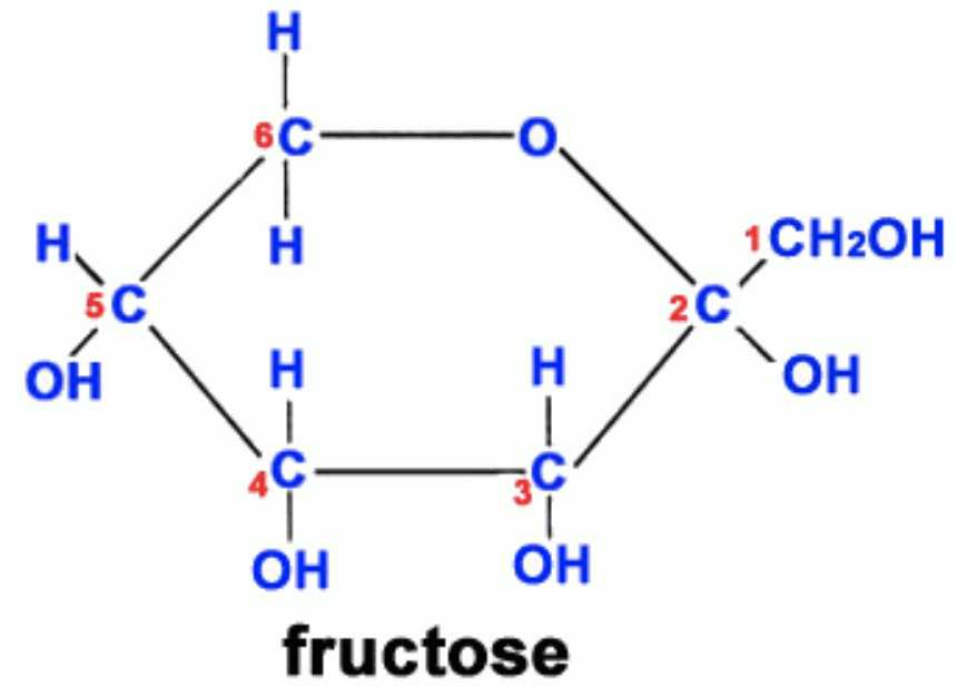 High Fructose Corn Syrup, Fruit and Health: A Perspective | Michael ...