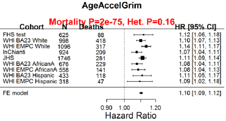 Screen Shot 2019-12-07 at 2.23.27 PM.png