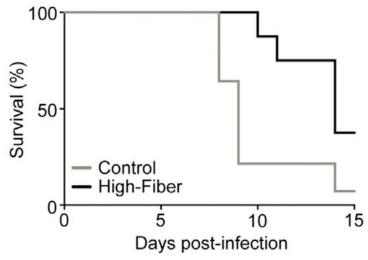 Screen Shot 2020-04-12 at 7.22.19 AM