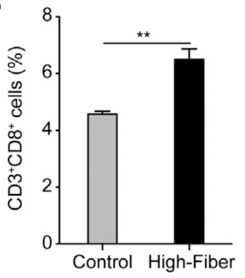 Screen Shot 2020-04-12 at 7.27.41 AM