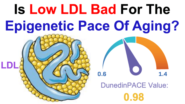 Is Low LDL Bad For The Epigenetic Pace of Aging? | Michael Lustgarten